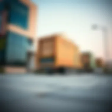 Magnificent Best Moving Companies in Dubai