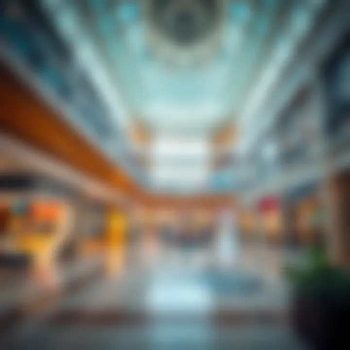 Magnificent Comprehensive Insights into Safeer Mall in Khalifa City Magnificent Comprehensive Insights into Safeer Mall in Khalifa City