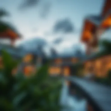 Magnificent Comprehensive Insights into Spinneys Mangrove Village