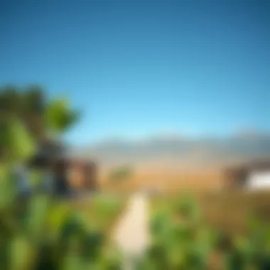 Magnificent Exploring Rental Farms in Hatta: An Insightful Guide Magnificent Exploring Rental Farms in Hatta: An Insightful Guide