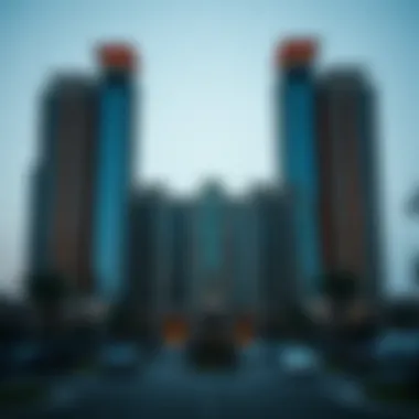 Magnificent Exploring the Impact of Viva Barsha on Dubai’s Real Estate Market Magnificent Exploring the Impact of Viva Barsha on Dubai’s Real Estate Market