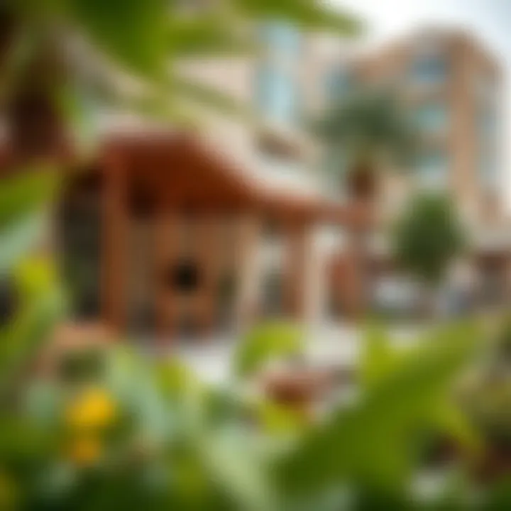 Leisure Spaces in the Al Nahda Neighborhood Outdoor leisure spaces in Al Nahda neighborhood