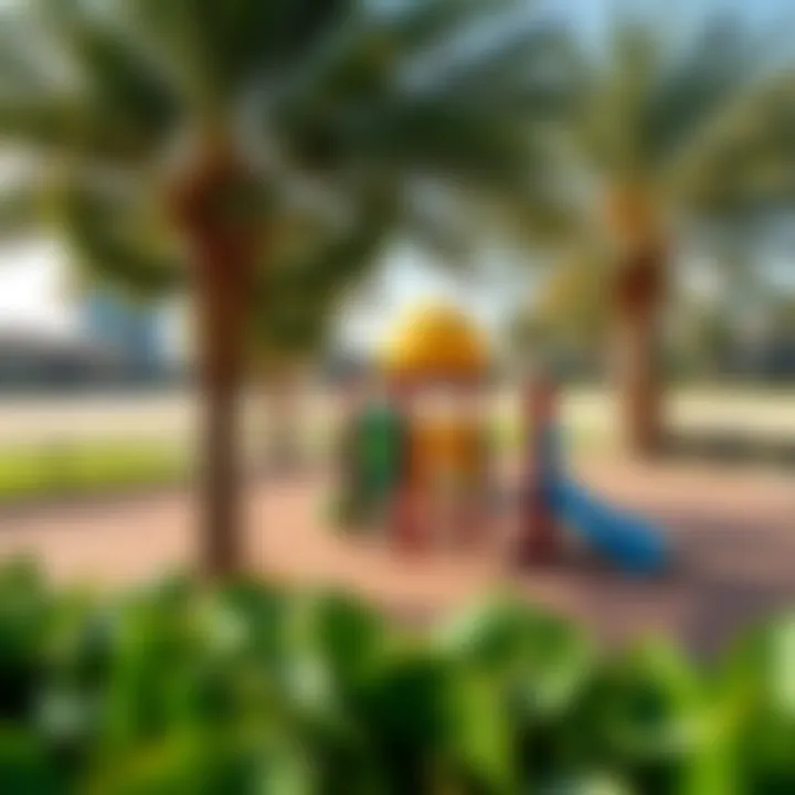 Children's Recreation Area in Al Towayya Park Play area within Al Towayya Park designed for children's recreation