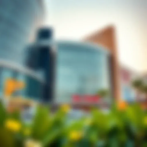 Exterior view of Bin Shabib Mall showcasing modern architecture