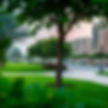 Green Spaces in Manazil Al Barsha Community park in Manazil Al Barsha
