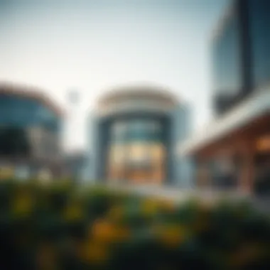 Real Estate Dynamics Influenced by Nakheel Mall Metro Station Impact of Nakheel Mall Metro Station on local real estate