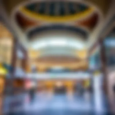 Comprehensive Insights into Safeer Mall in Khalifa City Summary Comprehensive Insights into Safeer Mall in Khalifa City Summary