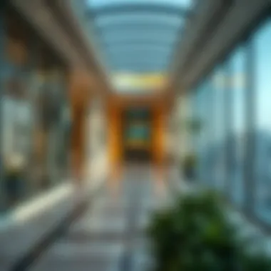Key Regulations for Residency in the UAE Understanding residency regulations in UAE