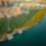 Aerial view of the Eastern Mangroves in Dubai showcasing lush greenery amidst urban landscape