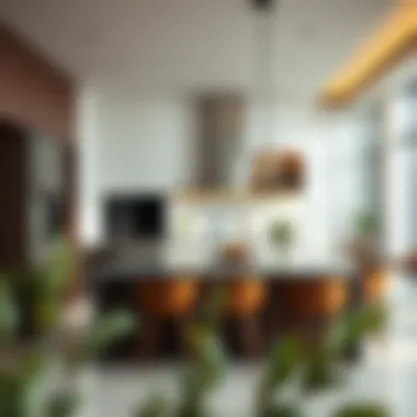 Modern Kitchen Design Modern kitchen design in a luxury rental