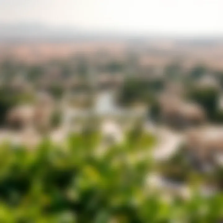 Lush Landscapes of Al Bahia Scenic view of Al Bahia highlighting its lush landscapes
