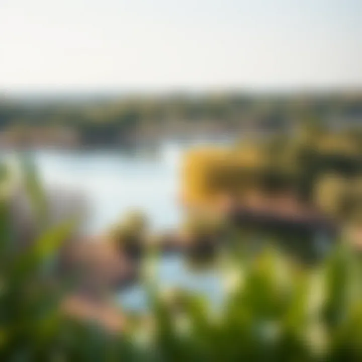 Scenic Lake View Surrounded by Nature in Al Barsha Park Scenic view of the lake surrounded by trees in Al Barsha Park