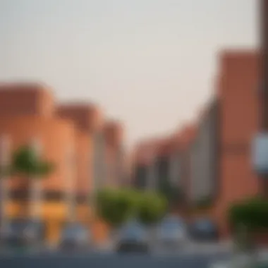 Exploring Al Maya Al Barsha: An In-depth Look at a Unique Dubai Neighborhood Summary