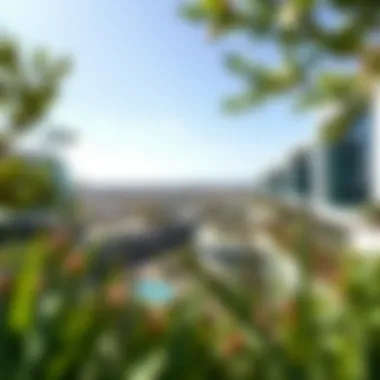 Panoramic View of المبزره الخضراء A panoramic view of المبزره الخضراء showcasing lush greenery and modern architecture.