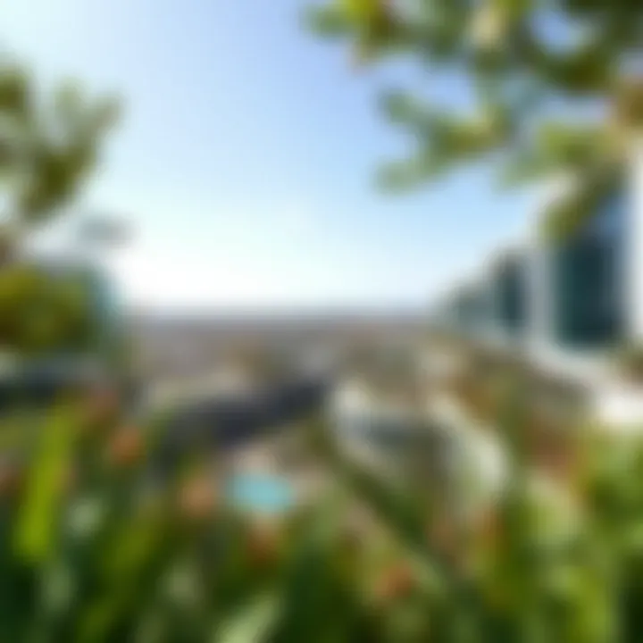 Panoramic View of المبزره الخضراء A panoramic view of المبزره الخضراء showcasing lush greenery and modern architecture.