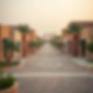 Notable Exploring Al Qasis: A Comprehensive Guide to a Vibrant Neighborhood in Dubai