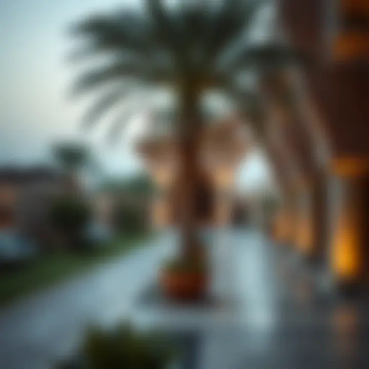 Exploring Al Qasis: A Comprehensive Guide to a Vibrant Neighborhood in Dubai Summary