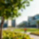 A panoramic view of النوف ٢ showcasing modern architecture and green spaces