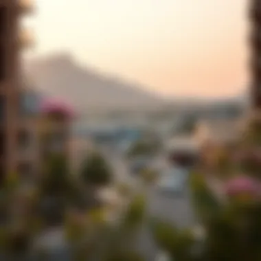 Scenic View of Nad Al Hamar Scenic view of the locality