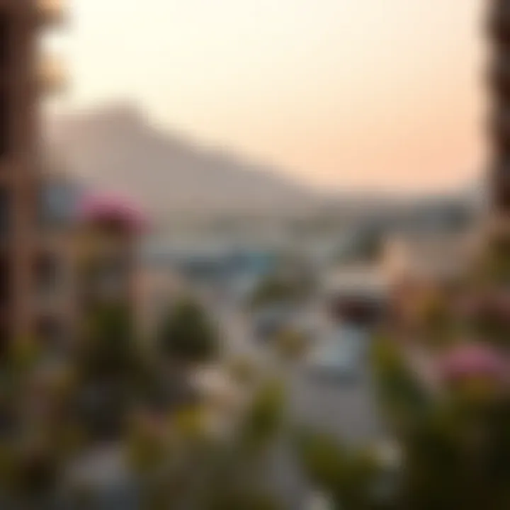 Scenic View of Nad Al Hamar Scenic view of the locality