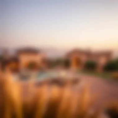 Exploring Caya Arabian Ranches Three: A Comprehensive Overview Summary