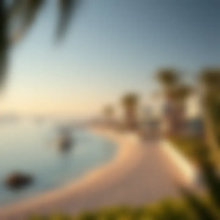 Notable Exploring Cove Beach on Reem Island: A Comprehensive Guide