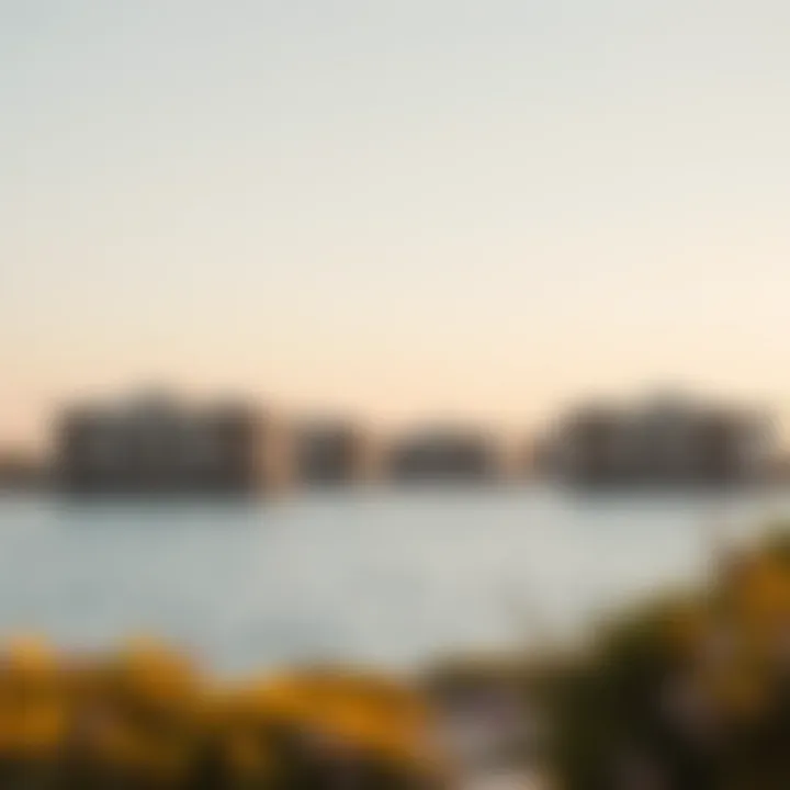 Exploring Cove Beach on Reem Island: A Comprehensive Guide Summary