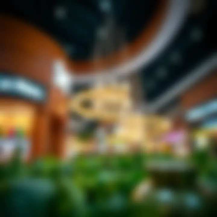 Exploring Culinary Delights at Nakheel Mall Summary