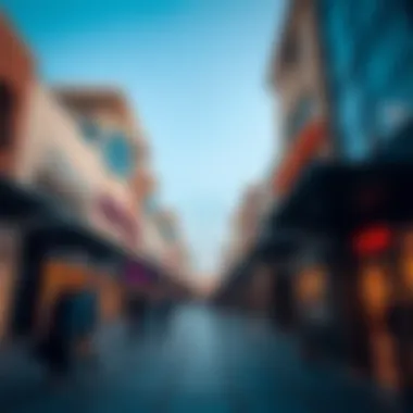 Exploring Designer Outlets in Dubai: A Comprehensive Guide Summary