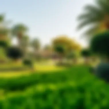 Lush Greenery of Khalifa Park Lush greenery in Khalifa Park
