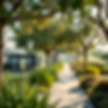 Green Spaces Promoting Sustainability Lush green spaces within Mohammed Bin Rashid City highlighting sustainability