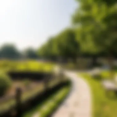 Lush Landscape of Nad Al Hamar Park Lush landscape of Nad Al Hamar Park showcasing greenery and pathways