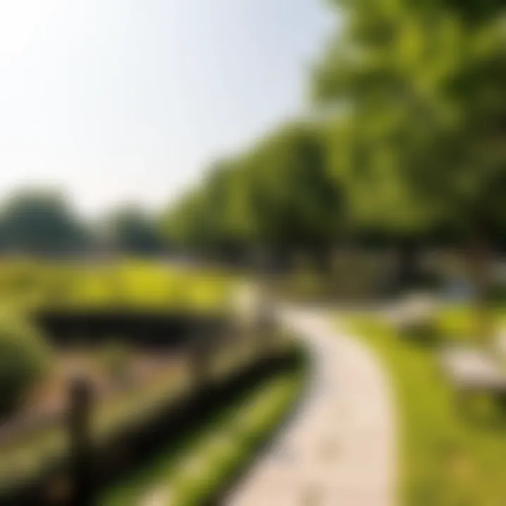 Lush Landscape of Nad Al Hamar Park Lush landscape of Nad Al Hamar Park showcasing greenery and pathways