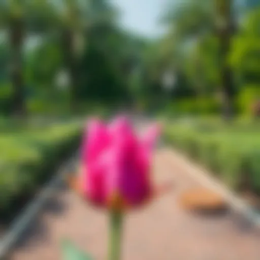 A serene view of Rashidiya Park showcasing lush greenery and walking paths.