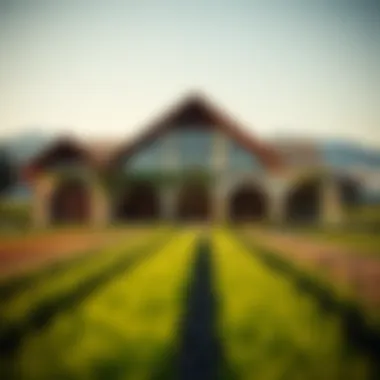 Exploring Rental Farms in Hatta: An Insightful Guide Summary Exploring Rental Farms in Hatta: An Insightful Guide Summary