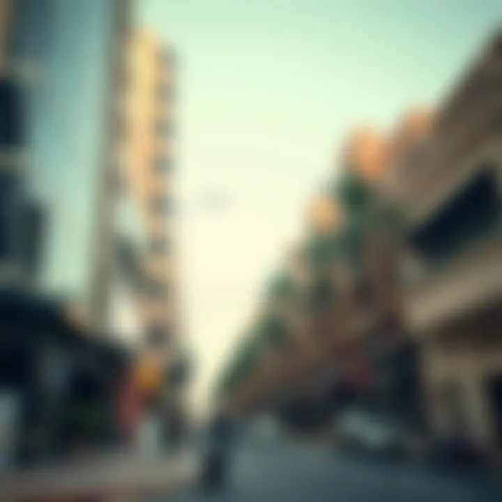 Exploring Rolla Street: A Hidden Gem in Bur Dubai Summary Exploring Rolla Street: A Hidden Gem in Bur Dubai Summary