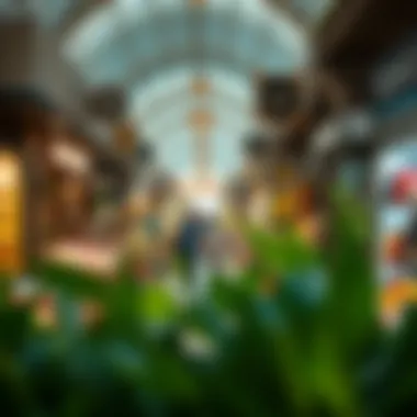 Diverse Offerings at Al Aweeri Market Shops and stalls reflecting the diversity of offerings at Al Aweeri Market