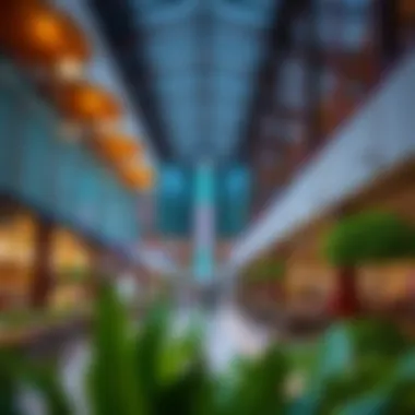 Exploring the Culinary Landscape of Nakheel Mall: A Guide to Its Restaurants Summary