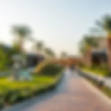 Community park with amenities in Damac Hills 2