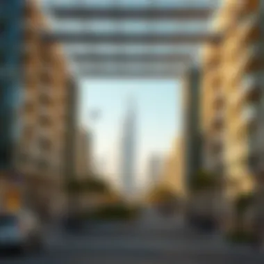 Exploring the Impact of Viva Barsha on Dubai’s Real Estate Market Summary Exploring the Impact of Viva Barsha on Dubai’s Real Estate Market Summary