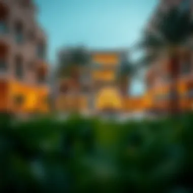 Vibrant community spaces in Wadi Dubai