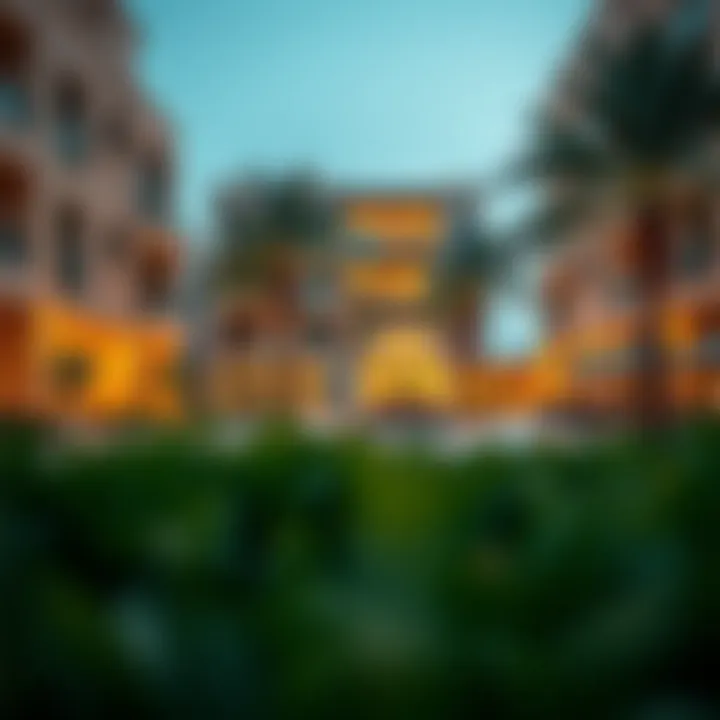 Vibrant community spaces in Wadi Dubai