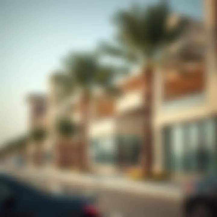 Developers presenting investment opportunities in Wadi Dubai