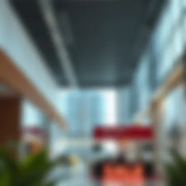 Running a Business for Sale in Dubai: Insights and Strategies Summary Running a Business for Sale in Dubai: Insights and Strategies Summary