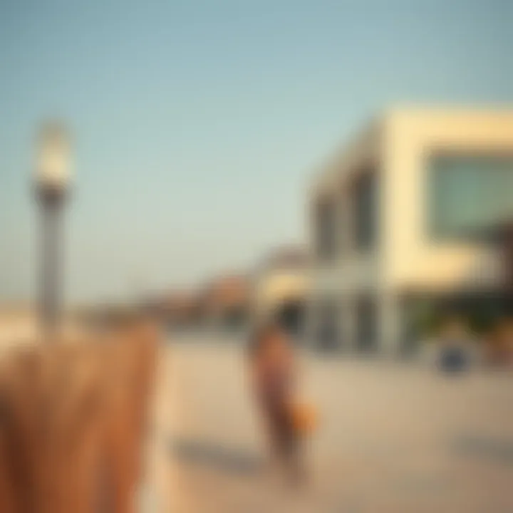 Leisure activities available at Salt Al Khawaneej Walk