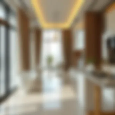 Alternatives to Traditional Maid Services Alternatives to hiring a maid services in Dubai