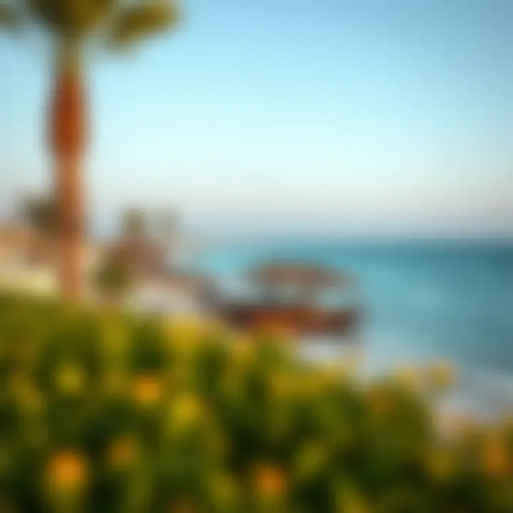 Understanding Mamzar Beach Timings: A Comprehensive Guide Summary