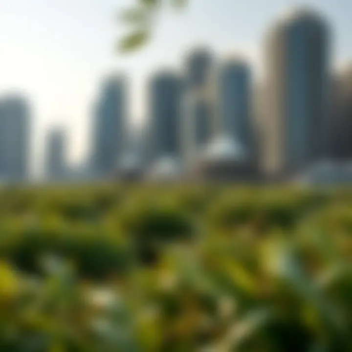 Landscape of urban Dubai with the Eastern Mangroves in the foreground, illustrating the balance of nature and urbanization