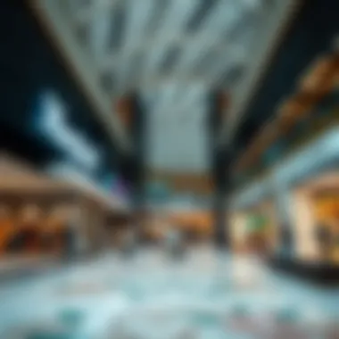 What to Wear in Dubai Mall: A Guide for Fashion and Comfort Summary